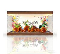 Acrylic Showcase for (10329 Mini Bonsai) Model - Showcase Display Box Compatible con Lego 10329 (Only Showcase, sin modelo) (Tricolor lightbox A)