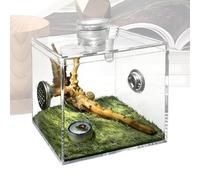 Acrylic Spider Enclosure - Clear Breeding Box for Small Pets | Terrarium Habitat with Snails Praying, Mantises Mantis for Indoor Living Room Setup Ventilation and Observation Window