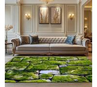 acsewater Felpudo 3D Exterior Alfombra Entrada Casa Velvet De Cristal Resistente Al Clima Antideslizante con Efecto 3D Cool Suave Giardino Y Entrada En Talla 80 x 120cm