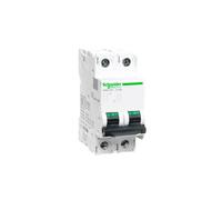 Schneider Electric Interruptor automático especial de CC A9N61537 C60H 500 V 2P 40 A curva C