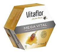 Actibios Vitaflor Mega Vital 20Viales 1 Unidad 250 g