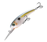 ACTINPANT 1 señuelo Flotante de Pesca Minnow de 13,5 cm y 20 g, Cebo Duro for Aguas Profundas, Cebo Artificial Marino for lubina.(CC04-4)