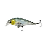 ACTINPANT 1 señuelo Flotante for Pesca de pececillos, 8 cm, 9,2 g, crankbait 3D de Cristal, Cebo Duro Artificial, for Pesca de Larga Distancia.(F)