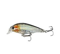ACTINPANT 1 señuelo Flotante for Pesca de pececillos, 8 cm, 9,2 g, crankbait 3D de Cristal, Cebo Duro Artificial, for Pesca de Larga Distancia.(B)