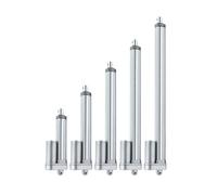 actuador Lineal Actuador Lineal de 12 V, IP65, Resistente al Agua, Carrera de 2000 N, motorización de Puerta con seguidor Solar, 160 mm/s(1500N 7mm s,Stroke 200mm)