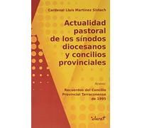 Actualidad Pastoral De Los Sínodos diocesanos y Concilios provinciales (SIN COLECCION)