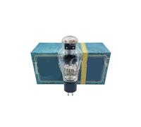 Actualización de Tubo WE300A WE300B 300B 300BN 300BT 300BG 4300B Amplificador vacío Audio HiFi(1 pcs)