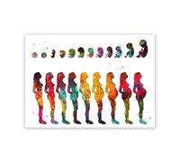 Acuarela corazón humano cerebro pulmones anatomía arte lienzo pintura ilustraciones póster al óleo impresiones pared cuadros Doctor Oficina(M,60X80cm Unframed)