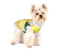 Acuarela Fruta de Verano Limones Hojas Slich,Camiseta de algodón sin Mangas para Mascotas, Chaleco Transpirable, Suave y elástico para Cachorros,M