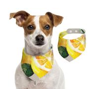 Acuarela Fruta de Verano Limones Hojas Slich,Pañuelos de algodón para Perros, Bufandas Ajustables para Mascotas,L