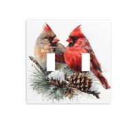 Acuarela macho y hembra pájaro doble gang cubierta de luz de pared interruptor decoración tamaño estándar - 11,4 x 11,4 cm