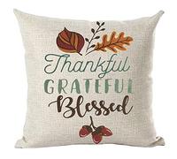 Acuarela Palabra Agradecido Bendecido Hojas De Arce Marrones Fundas para Almohadones con Cremallera Oculta Fundas Cojines Transpirable Funda De Almohada para Sofá Coche Cama 45X45Cm
