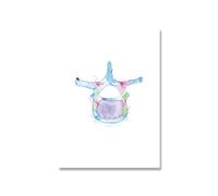 Acuarela quiropráctica arte impresión quiropráctico Oficina decoración vértebras boceto cartel anatómico humano cuadro sobre lienzo for pared(Picture C,20X25cm No Frame)