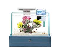 Acuario Acuario de Escritorio, pecera pequeña con Base, decoración del hogar, Oficina, Decoraciones for peceras, Adornos de Paisaje ecológicos Peces Acuario
