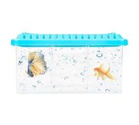 Acuario Betta,Tanque de acuario Betta, Contenedor transparente para acuario de peces con divisores extraíbles, Pecera ornamental con diseño de múltiples compartimentos, kit de iniciación para acuario,
