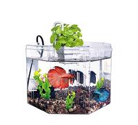 Acuario Caja de Aislamiento for pecera pequeña, Tanque de Peces Transparente acrílico Especial con Bomba de filtración, pecera Ornamental, Oficina y hogar Peces Acuario