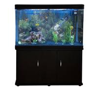 Acuario de 300L con Mueble Negro, Accesorios y Grava Azul