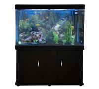 Acuario de 300L con Mueble Negro, Accesorios y Grava Negra