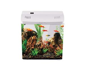 Acuario de escritorio | Pequeña cuenca con filtro | Decoración del hogar | Para acuarios de arrecife medusas ranas escritorio oficina escritorio sala de estar y casa de mascotas