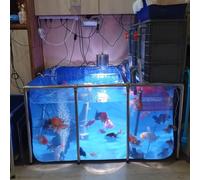 Acuario de lona de PVC para peces y mascotas acuáticas, marco de acero, ventana de visualización transparente, fácil montaje, ideal para piscinas y estanques, 150 x 100 x 61 cm