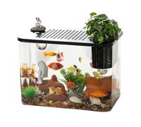 Acuario de pecera, pecera Betta,Cuencos Transparentes para Peces de Acuario con Tanque de | Acuarios pequeños, Tanque Compacto, decoración de paisajismo para Peces pequeños, cría de s