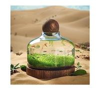 Acuario de Peces Botella de Vidrio for pecera, Cultivo ecológico, micropaisaje, Tanque Plantas pequeño autocirculante con Base Madera, Adornos Escritorio(Medio)
