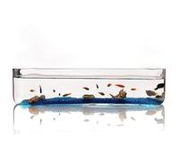Acuario de Peces Tanque de Peces Vidrio pequeño, Rectangular, Acuario, ecológico, Transparente, Sala Estar, Oficina, Escritorio, decoración pecera(Medio)
