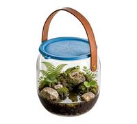 Acuario De Playa Catch and Release - Contenedor De Peces Portátil