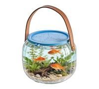 Acuario de playa, transparente, portátil, transpirable, para el hogar, al aire libre, playa, piscina, lago, viajes, cangrejos, conchas marinas, estrellas de mar, vida acuática