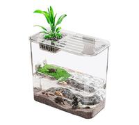 Acuario de tortugas, terrario creativo de tortugas y peces, tanques transparentes para criar tortugas, tanques de peces para criar tortugas, acuario de tortugas de agua y tierra, tanques de peces