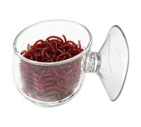 Acuario Esférico para Camarones Dispensador De Alimento Con