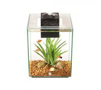 Acuario Fluval Chi 19L
