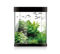 Acuario ICA Kit Nano AQUALED 10 litros Negro