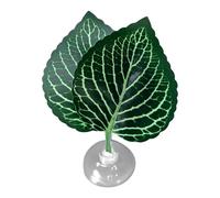 Acuario Leafs Hamaca - Betta Fish Resting Pad, Cama Natural De Simulación | Plataforma Respiratoria De Reproducción Portátil Betta Fish Comfort, Mejora El Ambiente Del Tanque Para Apoyo A