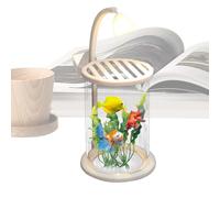Acuario Mini Juguete Decorativo Transparente Con Iluminación