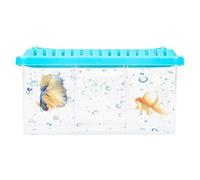 Acuario Para Betta - Pecera De Escritorio Con Separadores Extraíbles | Tanque Multi-Compartimento Para Peces Luchadores | Pequeña Pecera Paisajística Con Divisiones, Material PP De Alta Definición Par