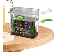 Acuario Para Tortugas,Decoración del Terrario para Peces Transparentes | Hábitat para Tortugas,Para Anfibios Reptiles Cangrejos de Río Cangrejos Ermitaños Rana Tortuga Hogar Oficina Sala de Estar Dorm