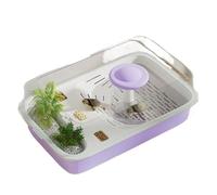 Acuario para Tortugas Tanque de alimentación Tortugas for Uso doméstico con Mesa trepadora Cubierta y Tablero(Purple)