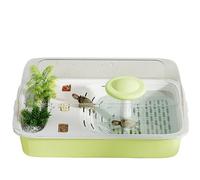 Acuario para Tortugas Tanque de alimentación Tortugas for Uso doméstico con Mesa trepadora Cubierta y Tablero(Green)
