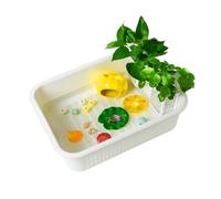Acuario para Tortugas Tanque de alimentación Tortugas, separación Doble Capa, paisajismo Plantas Verdes(Blanco)
