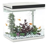 Acuario PawHut de 26 litros con Filtro, iluminación LED, Bomba de Agua, para Varias Especies de Peces, Aprox. 38 x 26 x 38 cm