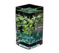 Acuario Pecera Cuadrada de Vidrio translúcido Alto con Tapa, pecera Tropical, florero hidropónico, Recipiente de Flores, pecera pequeña de Escritorio Peces Acuario(12x12x25cm)