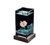 Acuario Pecera Cuadrada, Pecera de Lucha Alta translúcida con Base de Madera, Pecera Tropical, pecera pequeña de Escritorio de Vidrio Engrosado Peces Acuario(Blue)