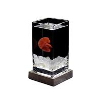 Acuario Pecera Cuadrada, Pecera de Lucha Alta translúcida con Base de Madera, Pecera Tropical, pecera pequeña de Escritorio de Vidrio Engrosado Pecera(Blanco)