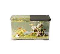 Acuario Pecera de acrílico Transparente con Tapa Deslizante, pequeña pecera de Escritorio for Sala de Estar, decoración de Oficina, pecera for Tortugas Peces Acuario(Negro)