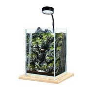 Acuario Pecera de Escritorio pequeña pecera DIY ecológica Oficina hogar Escritorio Acuario decoración de Escritorio Peces Acuario