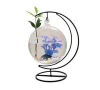 Acuario Pecera Decorativa de Escritorio, pecera Redonda de Vidrio Transparente Colgante con Base de Marco doblado de Metal Negro Pecera