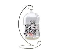 Acuario Pecera pequeña con diseño Colgante, pecera pequeña de Cristal con Marco de Metal, peceras Decorativas de Escritorio for Colgar Peces Acuario(Blanco,Pequeño)