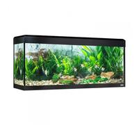 Acuario Roma con iluminación LED Bluetooth - Fluval - Color: Negro | Capacidad: 240 L