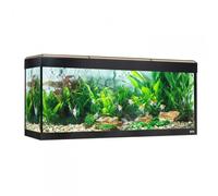 Acuario Roma con iluminación LED Bluetooth - Fluval - Color: Roble | Capacidad: 240 L